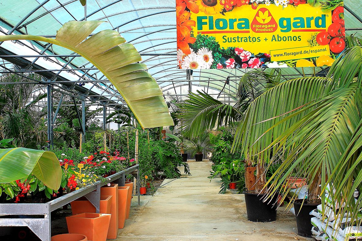 Botànic Cullera - Centro de jardinería 4