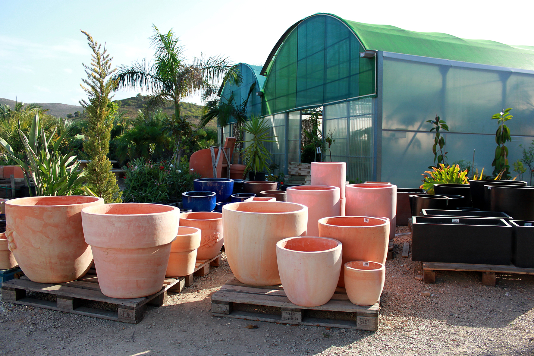 Botànic Cullera - Centro de jardinería 5