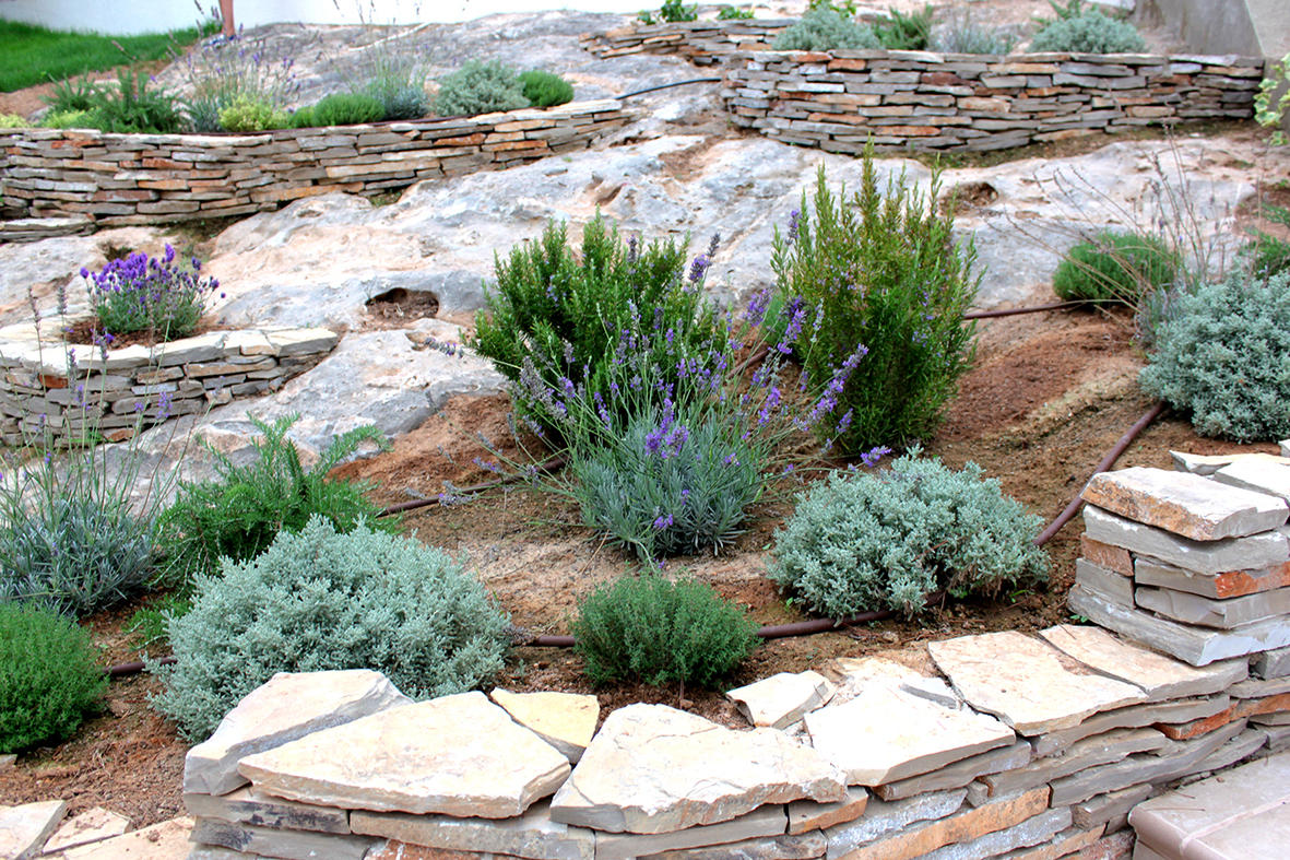 MANTENIMIENTO JARDINES (15)