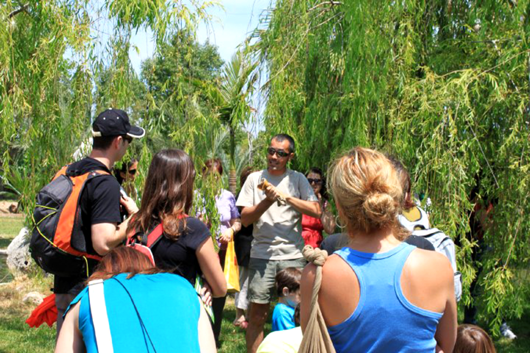 diferncias entre plantas - botanic cullera