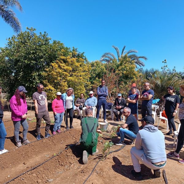 taller hot urba-ecologic